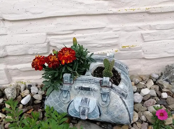 Usis_ferienwohnung Im Harz Apartman *